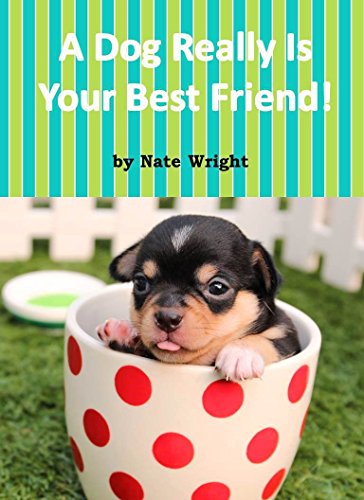 Cover for A Dog Really Is Your Best Friend!