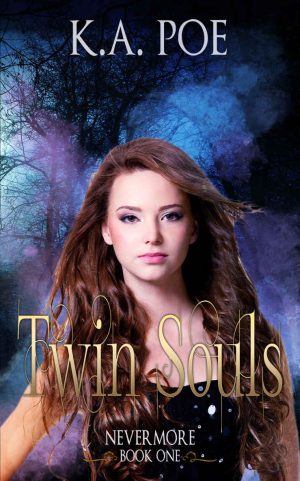 Cover for Twin Souls