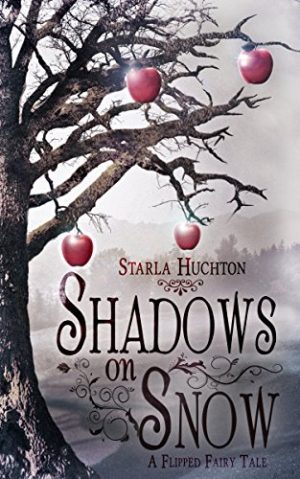 Cover for Shadows on Snow