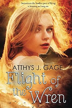 Cover for Flight of the Wren