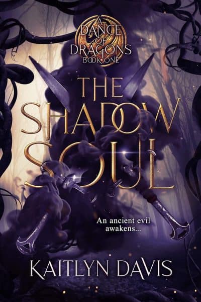 Cover for The Shadow Soul