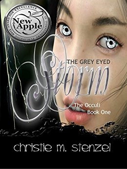 Cover for The Grey Eyed Storm