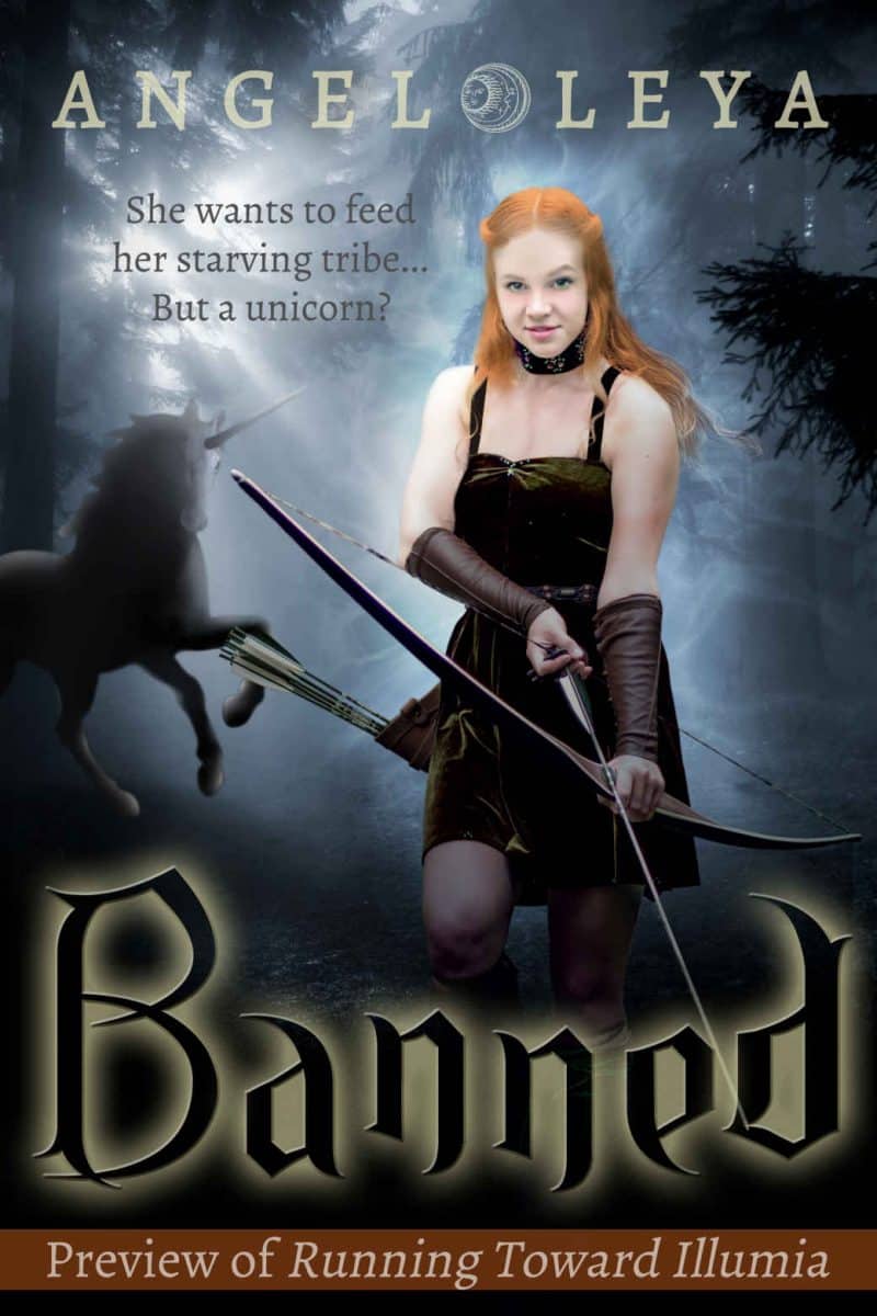 Cover for Banned