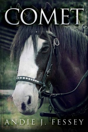 Cover for Comet