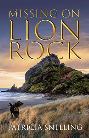 Cover for Missing on Lion Rock