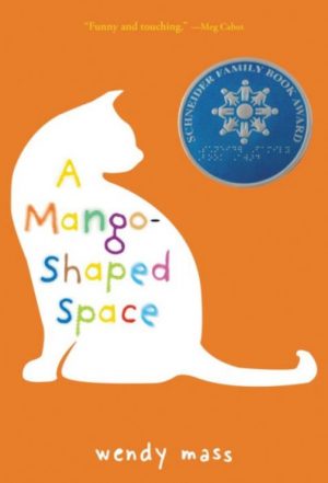 Cover for A Mango-Shaped Space