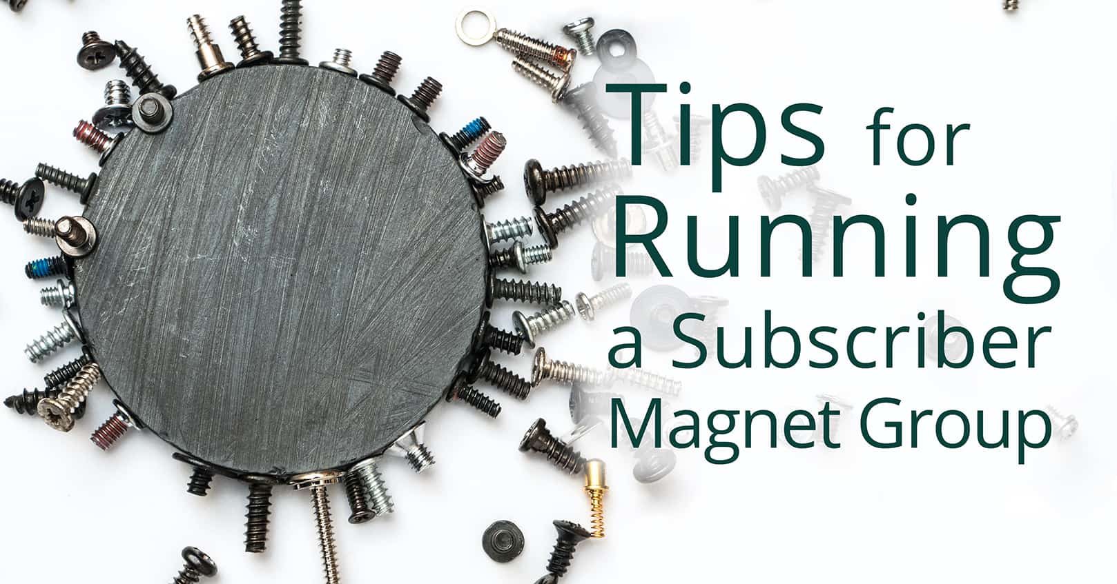 running a subscriber magnet group