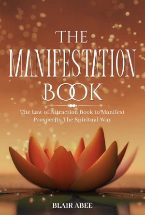 Cover for The Manifestation Book