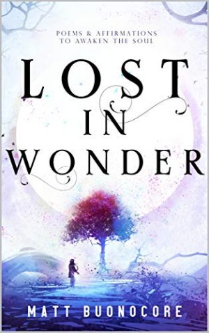 Cover for Lost in Wonder