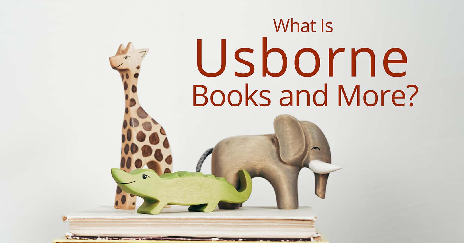 What Is Usborne Books and More