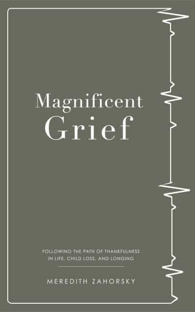 Cover for Magnificent Grief