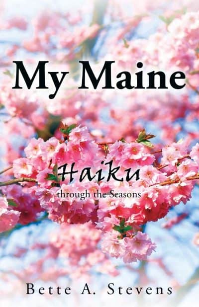 Cover for My Maine