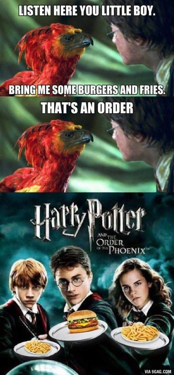 26 of the Best Harry Potter Memes – Book Cave