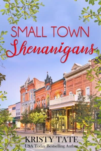 Cover for Small Town Shenanigans