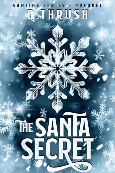 Cover for The Santa Secret