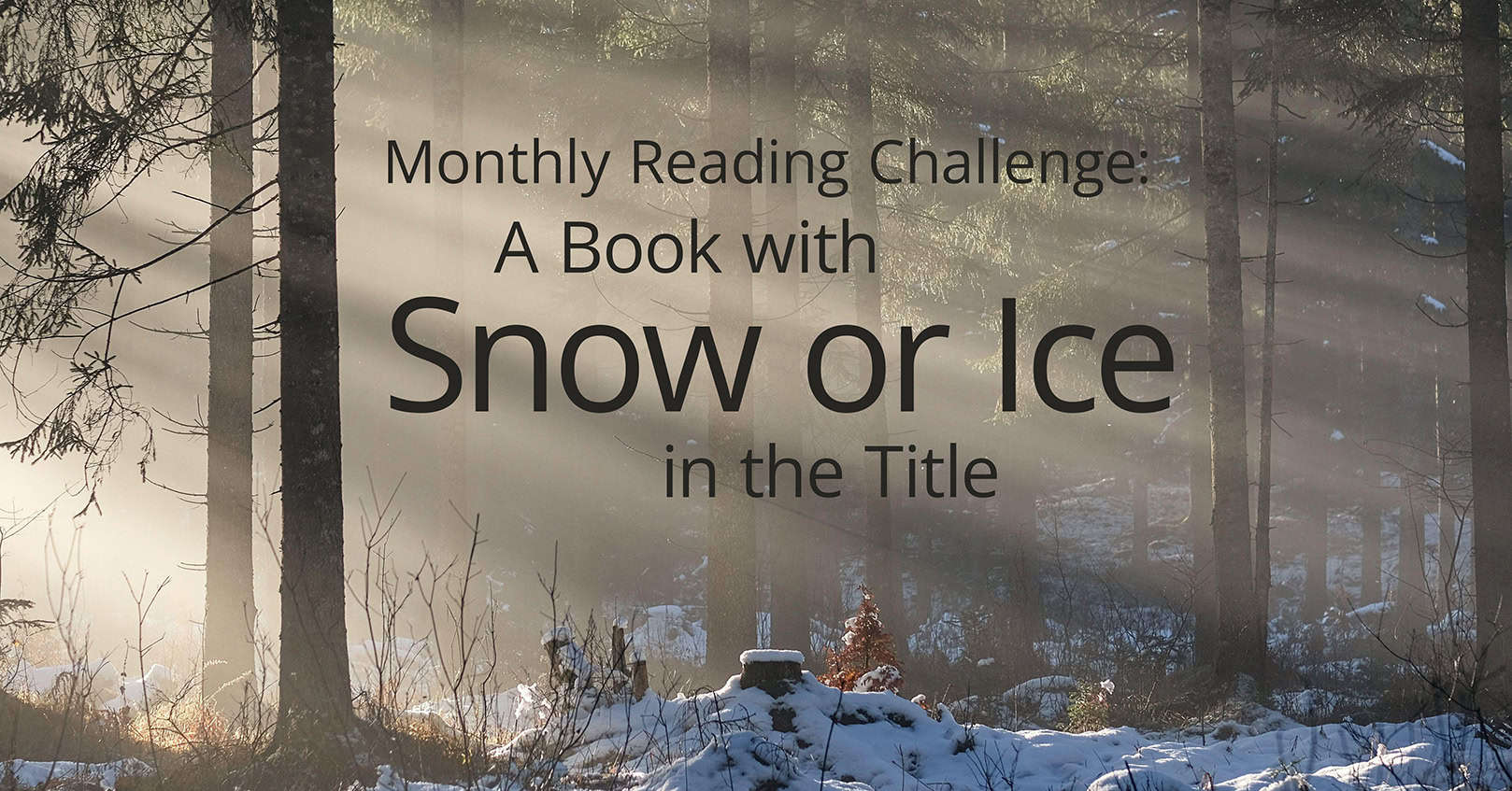 snow ice reading challenge