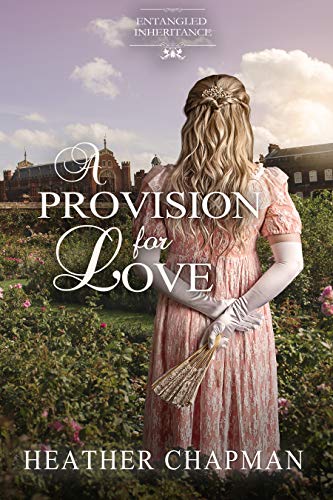 Cover for A Provision for Love