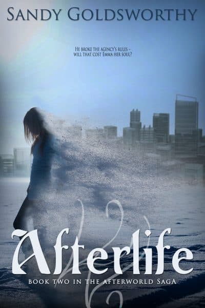 Cover for Afterlife