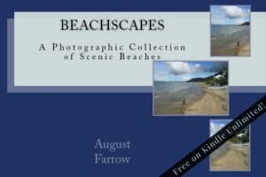 Cover for BeachScapes: A Photographic Collection of Scenic Beaches