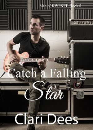 Cover for Catch a Falling Star