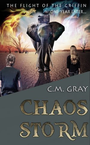 Cover for Chaos Storm