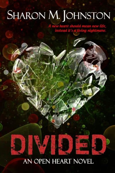 Cover for Divided