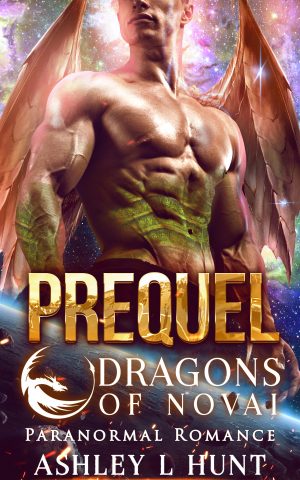 Cover for Dragons of Novai: Prequel