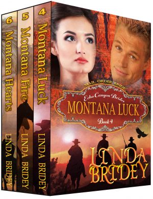 Cover for Echo Canyon Brides Box Set