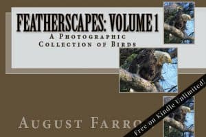 Cover for FeatherScapes: Volume 1: A Photographic Collection of Birds