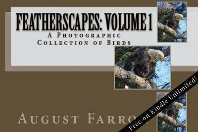 Cover for FeatherScapes: Volume 1