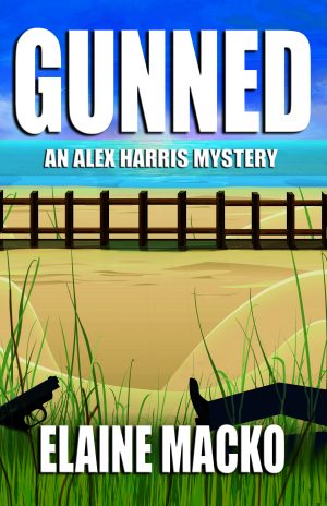 Cover for Gunned