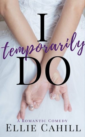 Cover for I Temporarily Do