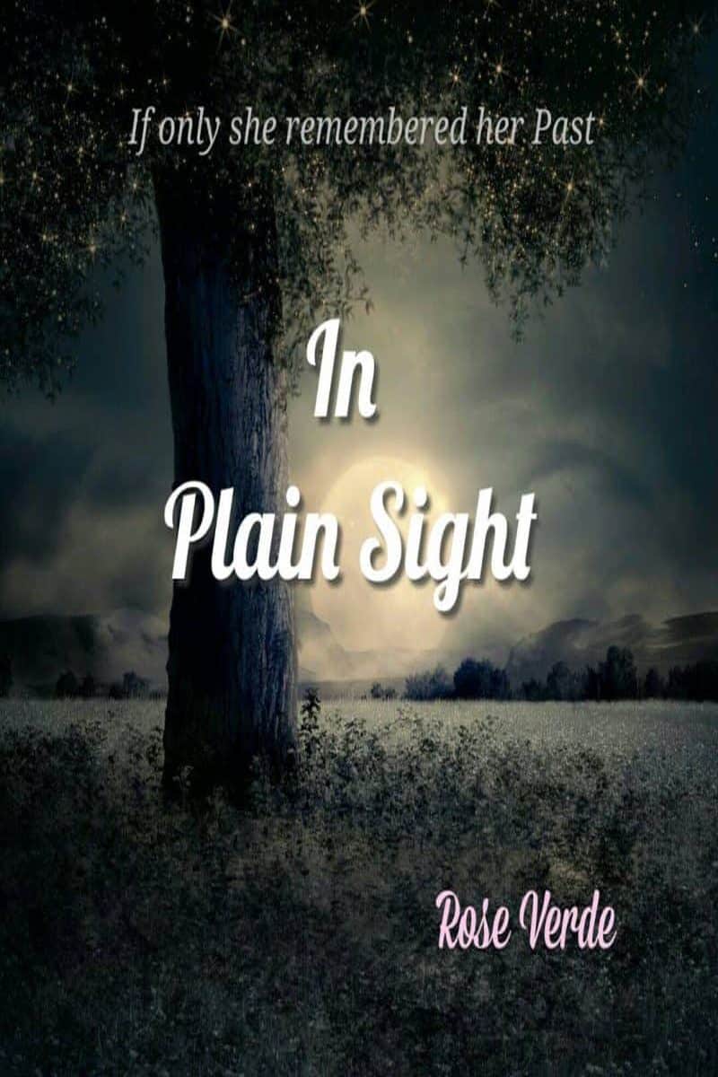 Cover for In Plain Sight