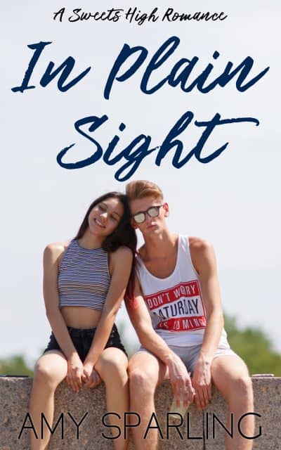 Cover for In Plain Sight