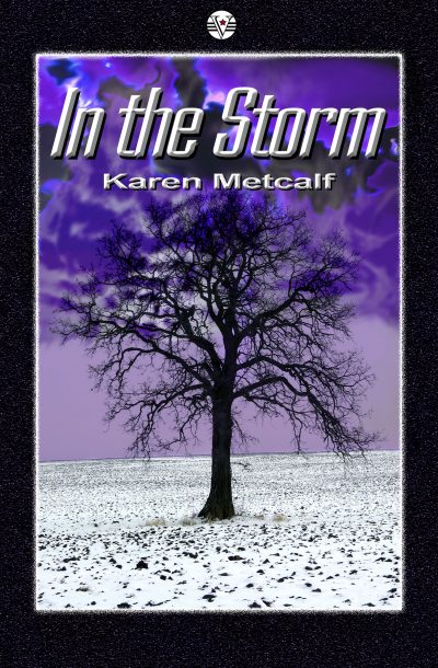 Cover for In the Storm