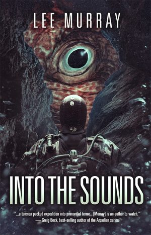 Cover for Into the Sounds