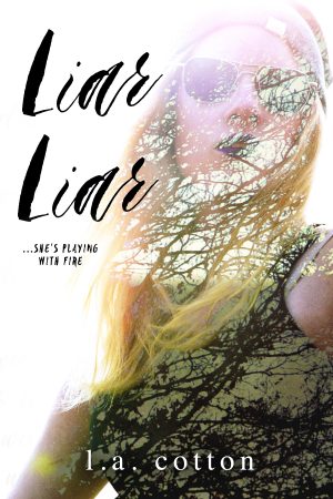 Cover for Liar Liar