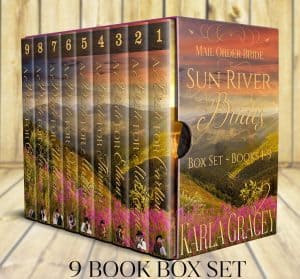 Cover for Sun River Brides Box Set