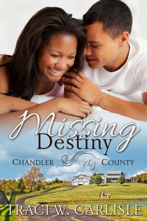 Cover for Missing Destiny