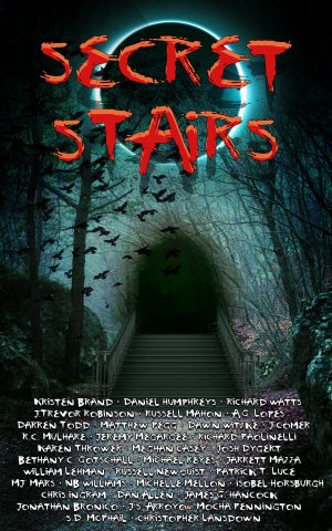 Cover for Secret Stairs