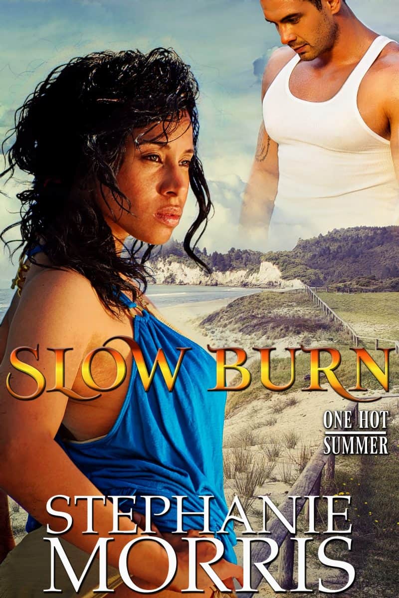 Cover for Slow Burn