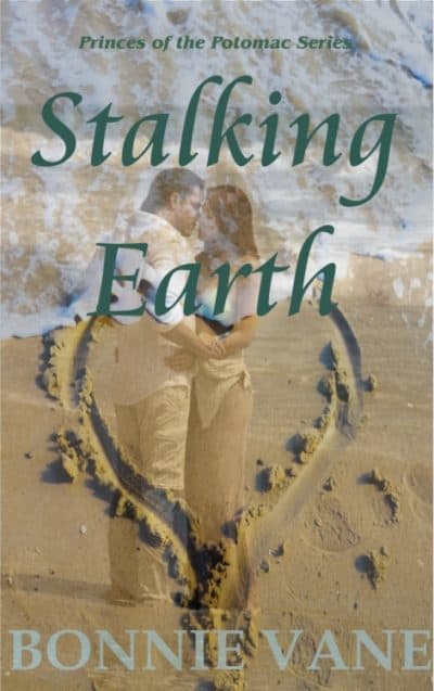 Cover for Stalking Earth