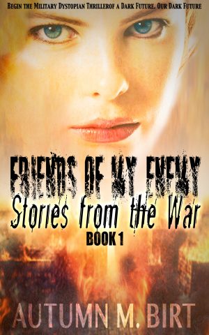 Cover for Stories from the War