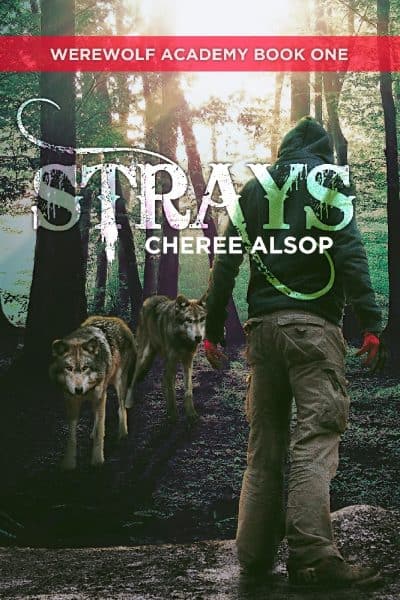 Cover for Strays