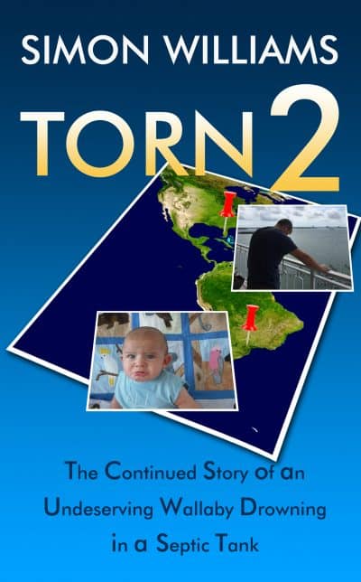 Cover for Torn 2