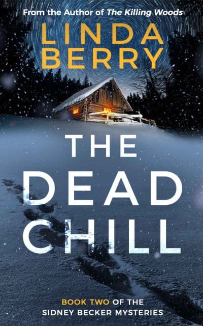 Cover for The Dead Chill