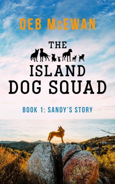 Cover for Sandy's Story