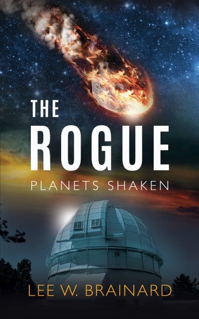 Cover for The Rogue