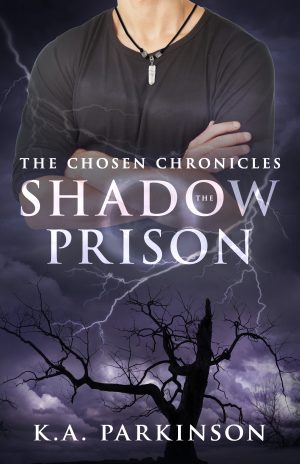 Cover for The Shadow Prison