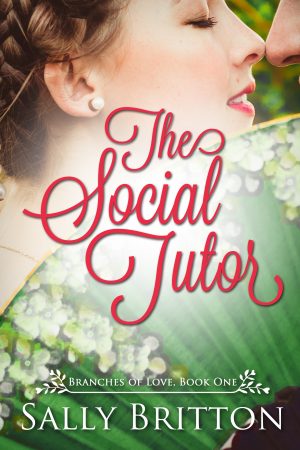 Cover for The Social Tutor